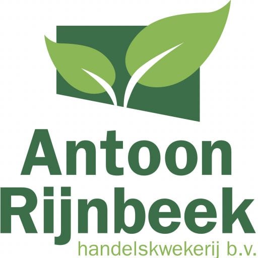 Antoon Rijnbeek