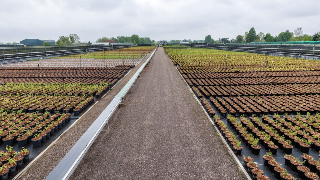 overzicht kwekerij 01